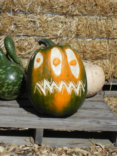 Three Eyes, Nipomo Pumpkin Patch best carving idea